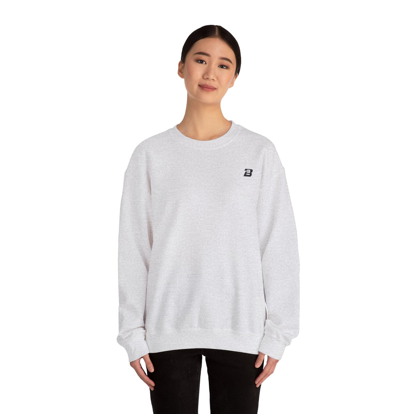B3 Crewneck Sweatshirt