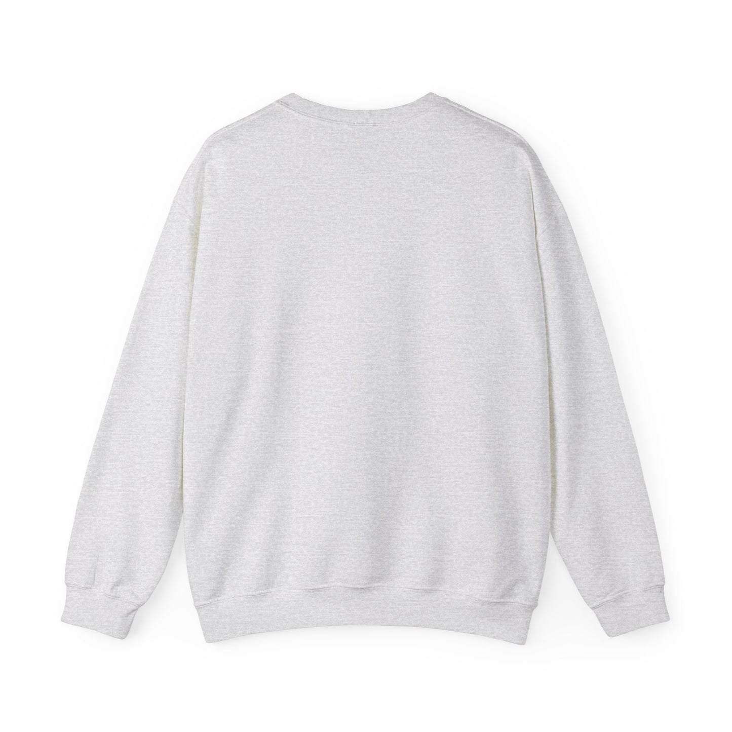 B3 Crewneck Sweatshirt