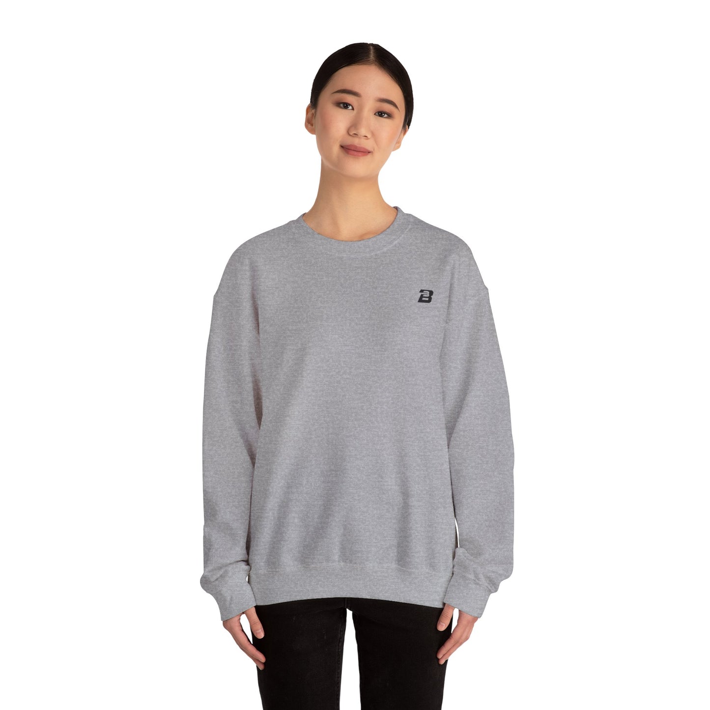 B3 Crewneck Sweatshirt